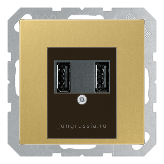 USB розетка для зарядки мобильных устройств JUNG LS 990, Латунь Classic