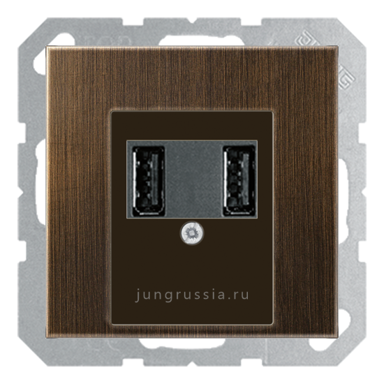 USB розетка для зарядки мобильных устройств JUNG LS 990, Латунь Antik