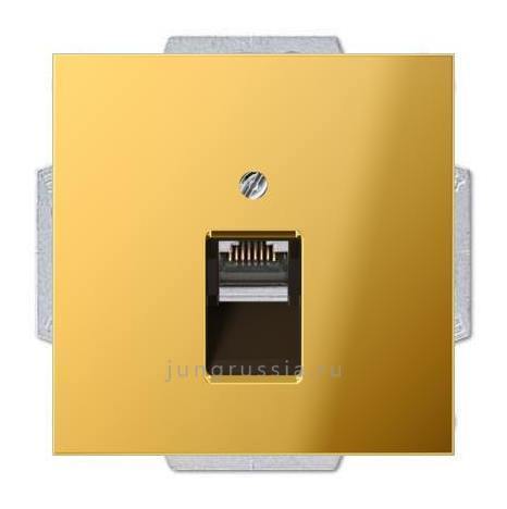 Компьютерная розетка 1-ая JUNG LS 990, Имитация золота