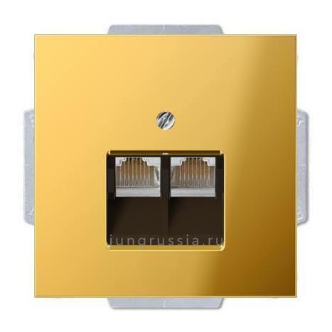 Компьютерная розетка 2-ая JUNG LS 990, Имитация золота