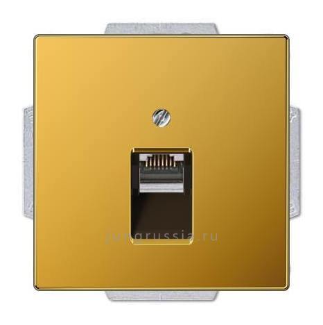 Компьютерная розетка 1-ая JUNG LS 990, золото
