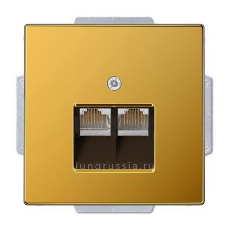 Компьютерная розетка 2-ая JUNG LS 990, золото