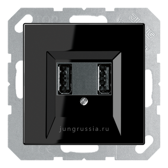 USB розетка для зарядки мобильных устройств JUNG LS plus, Черный