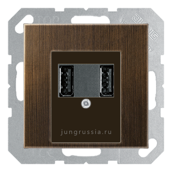 USB розетка для зарядки мобильных устройств JUNG LS plus, Латунь Antik