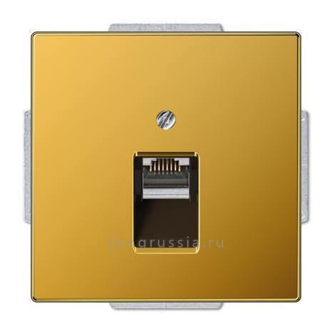 Компьютерная розетка 1-ая JUNG LS plus, золото