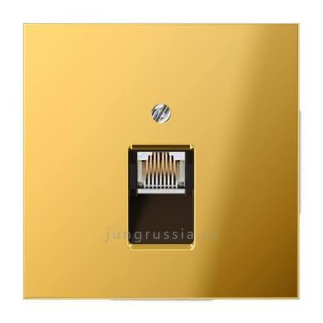 Телефонная розетка 1-ая JUNG LS design, Имитация золота