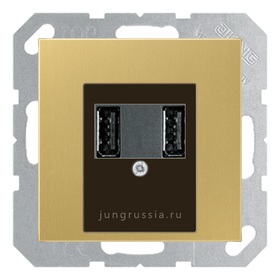 USB розетка для зарядки мобильных устройств JUNG LS design, Латунь Classic