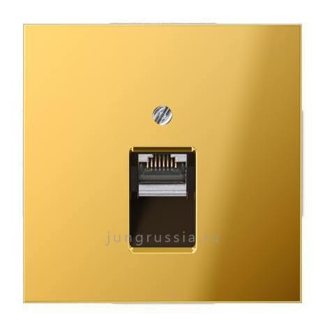 Компьютерная розетка 1-ая JUNG LS design, Имитация золота
