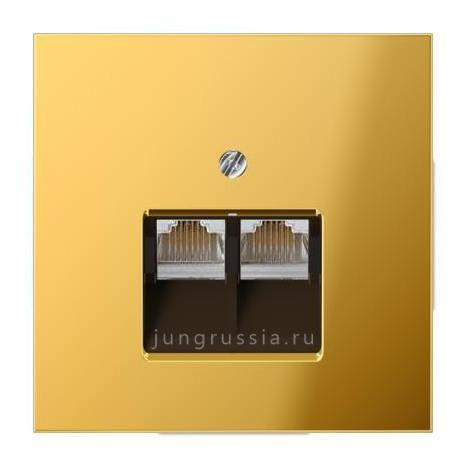 Компьютерная розетка 2-ая JUNG LS design, Имитация золота