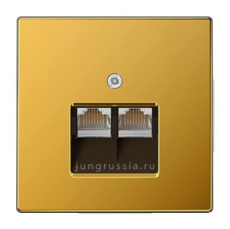 Компьютерная розетка 2-ая JUNG LS design, золото