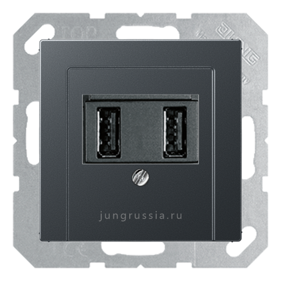 USB розетка для зарядки мобильных устройств JUNG A 550, Антрацит