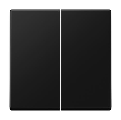 A500 Клавиша 2-ная, цвет матовый черный