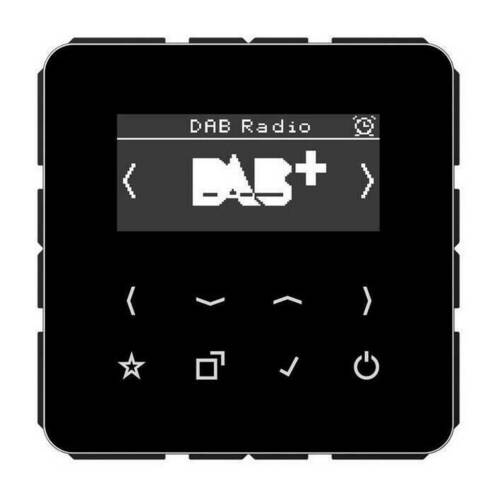 Цифровое радио Jung, с дисплеем, электронный, черный, DABCDSW