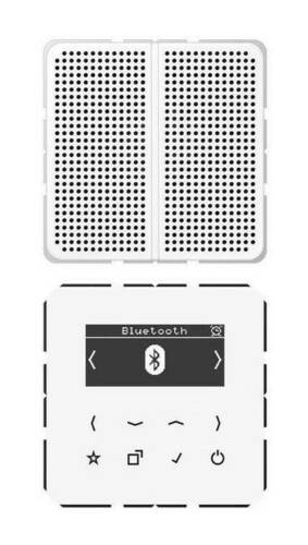 Цифровое радио Jung, с дисплеем, электронный, белый, DABCD1BTWW