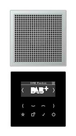 Цифровое радио Jung А-СЕРИЯ, с дисплеем, электронный, алюминий, DABAL1